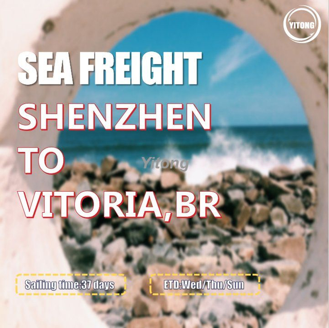 Freight Shipping From Shenzhen Qingdao Shanghai To Vitoria Brazil 