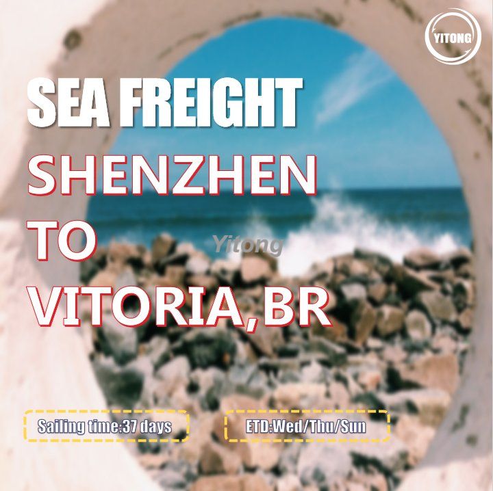 Freight Shipping From Shenzhen Qingdao Shanghai To Vitoria Brazil 