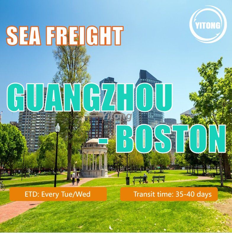 FCL Shipping Logistics From Shenzhen Xiamen Guangzhou To Boston USA