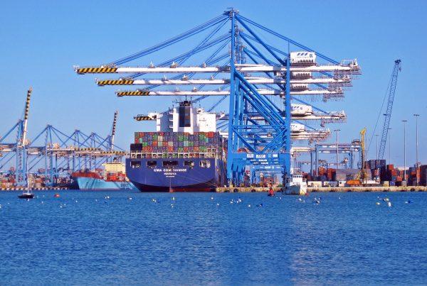  What Is The Difference Between The Port Area Cut-off Time And The Port Area Cut-off Time?