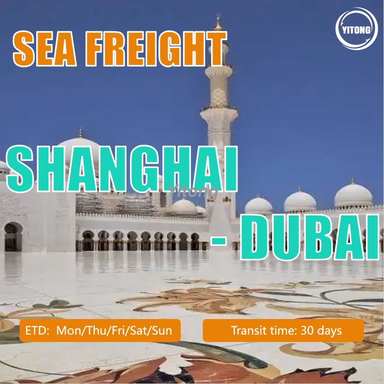 Sea Freight From Shanghai To Dubai