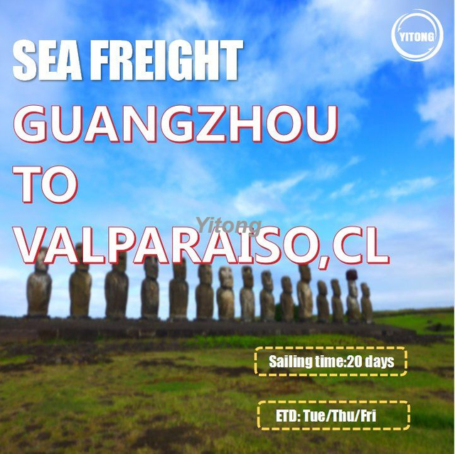 Sea Freight From Guangzhou Shenzhen Shantou To Valparaiso