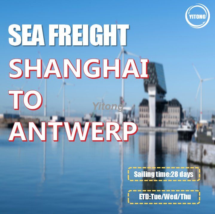 Sea Freight From Shanghai Shenzhen Qingdao To Antwerp Belgium
