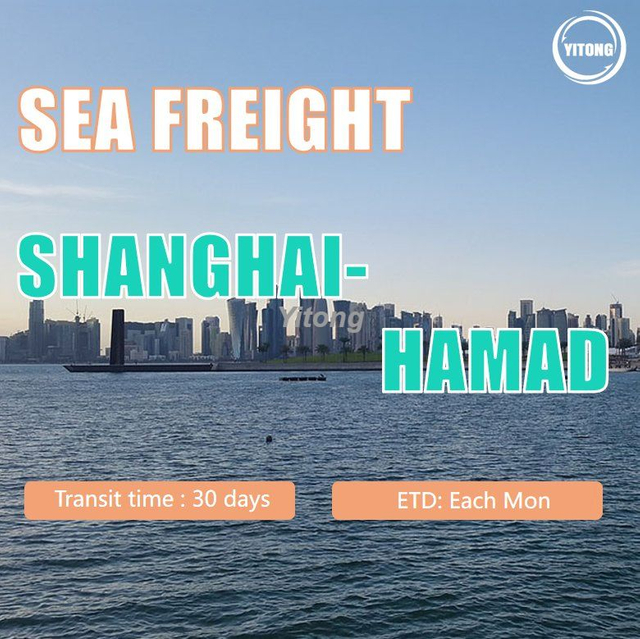 Freight Forwarder Shipping Freight From Shanghai To Hamad