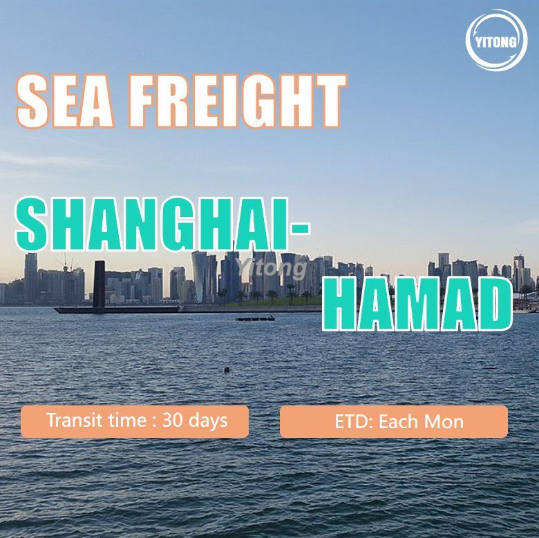 Freight Forwarder Shipping Freight From Shanghai To Hamad