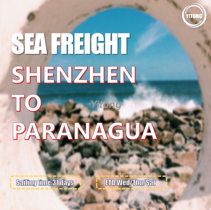 Sea Freight From Shenzhen Ningbo Guangzhou To Paranagua Brazil 