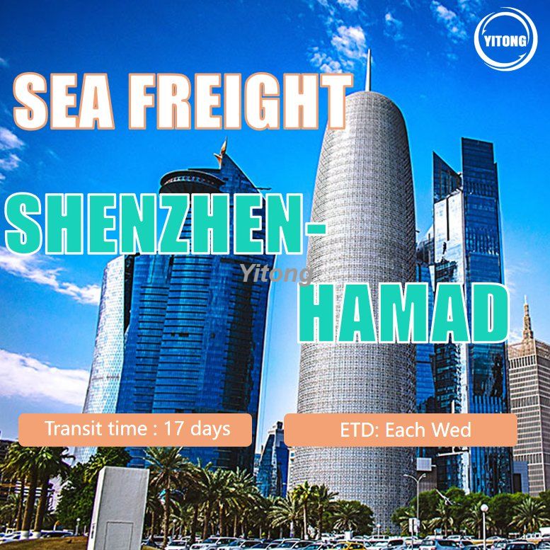 Ocean Freight From Shenzhen To Hamad