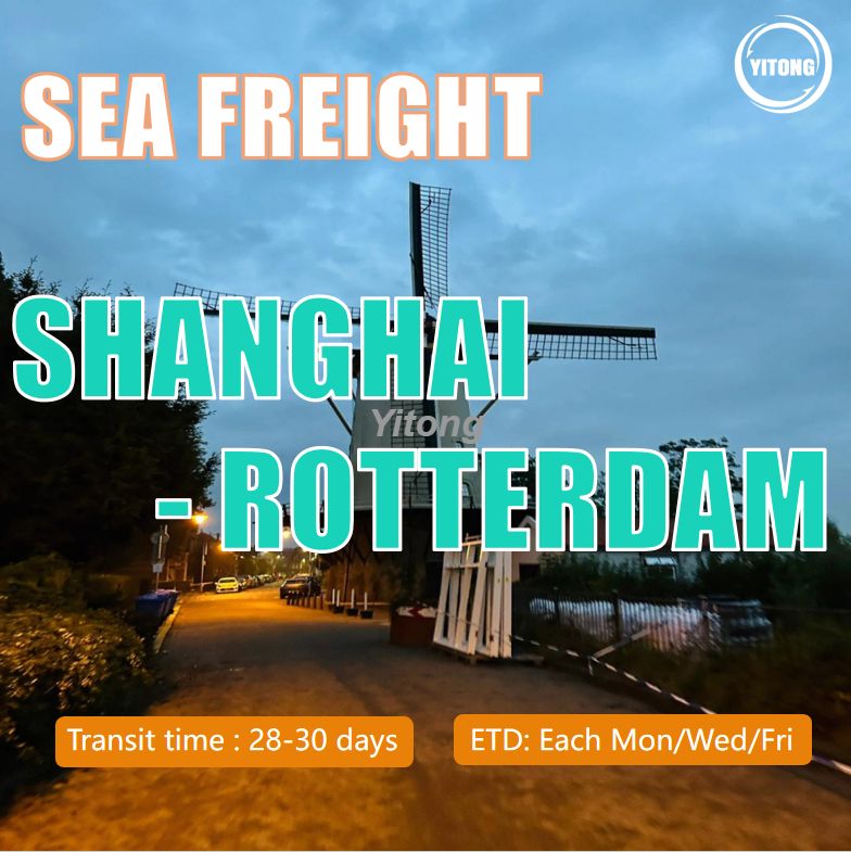 Ocean Logistics From Shanghai To Rotterdam Netherlands