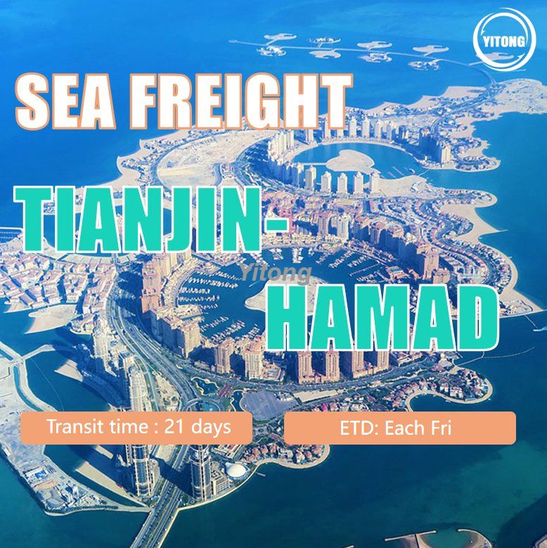 Sea Freight From Tianjin To Hamad