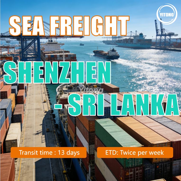Sea Freight From Guangzhou China To Sri Lanka Reliable China To Sri Lanka Ocean Shipping