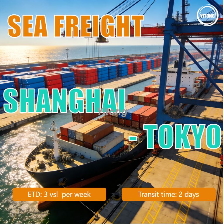Ocean Shipping From Shanghai, China To Tokyo Port, Japan | Reliable China–Japan Sea Freight