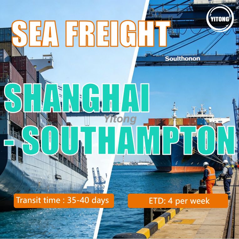 Sea Freight From Shanghai China To Southampton UK Professional Ocean Freight Service