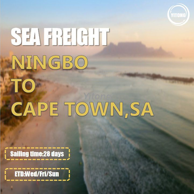 Sea Shipping Agent From Ningbo Shenzhen Shanghai To Cape Town South Africa