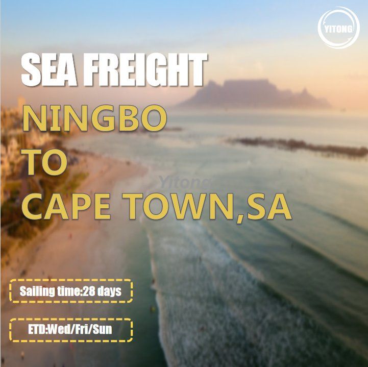 Sea Shipping Agent From Ningbo Shenzhen Shanghai To Cape Town South Africa