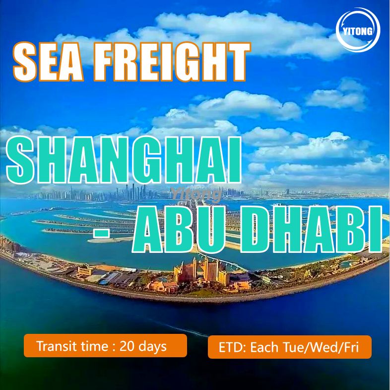 Sea Shipping From Shanghai To Abu Dhabi