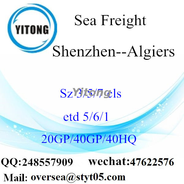 Shenzhen Port Sea Freight Shipping To Algiers Algeria