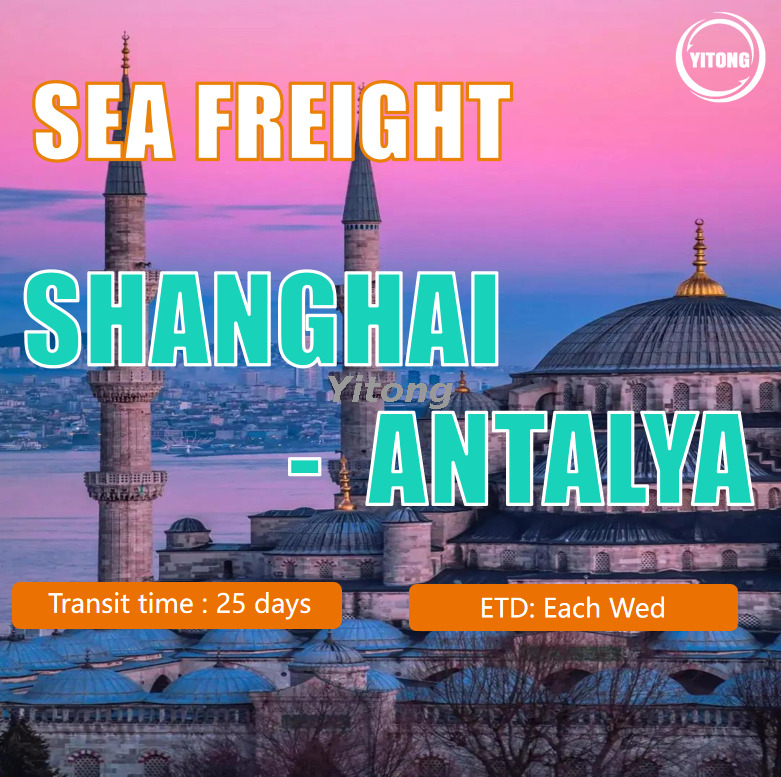 Ocean Freight From Shanghai To Antalya Turkey
