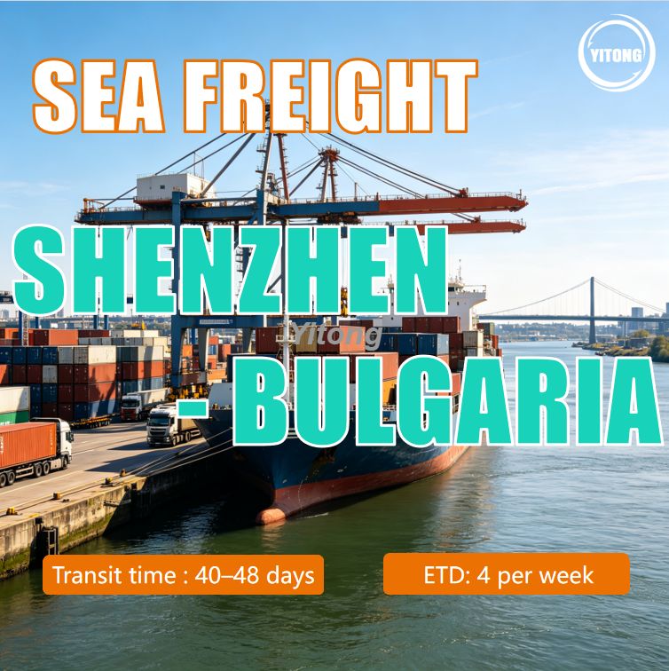 Sea Freight From Shenzhen China To Varna Bulgaria