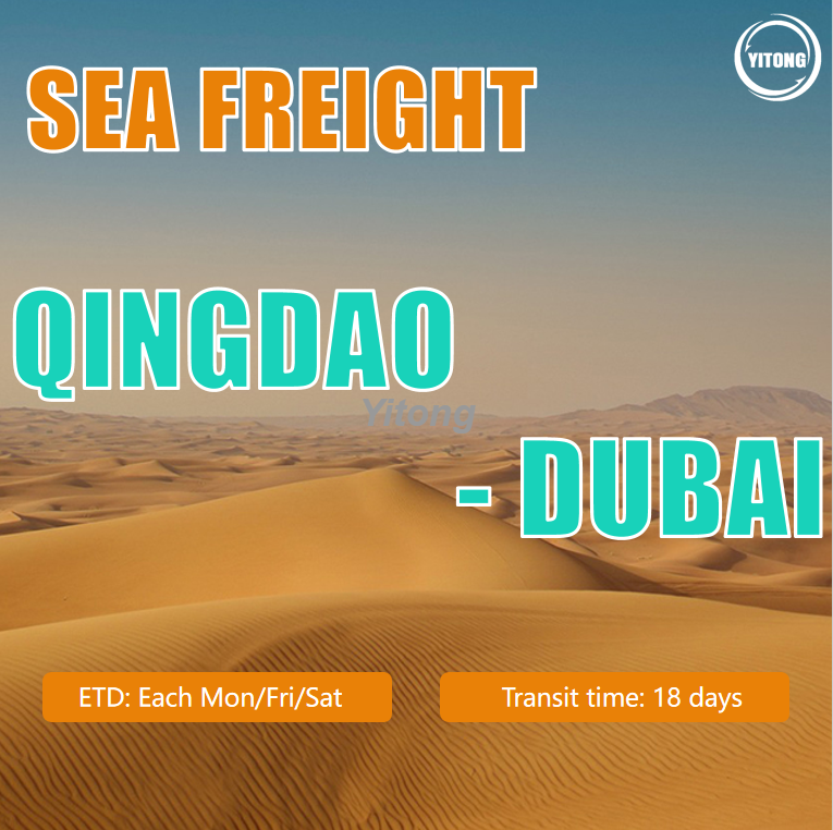 International Sea Freight from Shenzhen to Dubai UAE