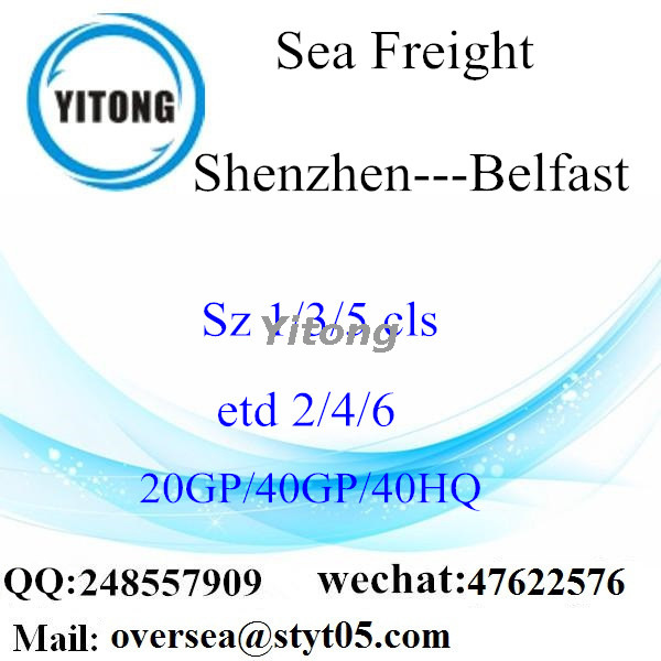 Shenzhen Port Sea Freight Shipping To Belfast UK