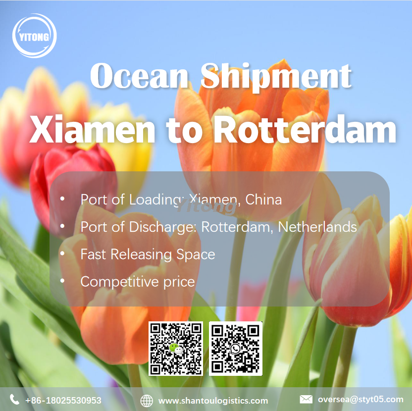 Ocean Freight from Xiamen to Rotterdam Holland