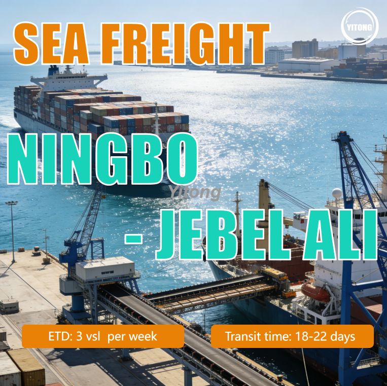 Ocean Freight From Ningbo, China To Jebel Ali Port, Dubai | China–UAE Sea Shipping Service