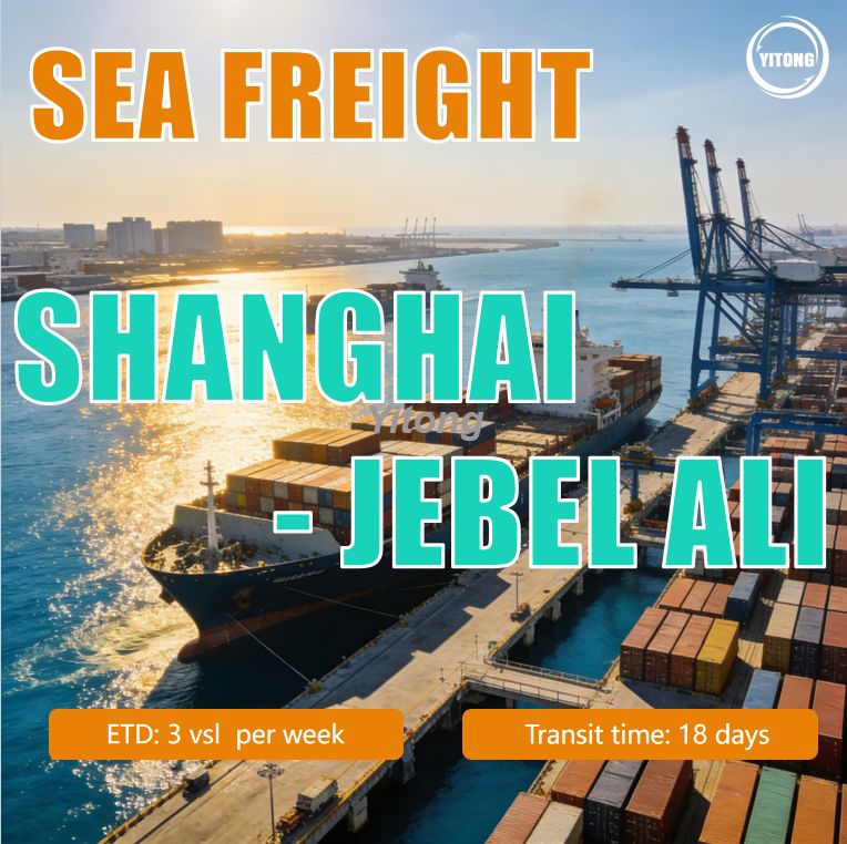 Sea Freight From Shanghai, China To Jebel Ali Port, Dubai Reliable China UAE Container Shipping