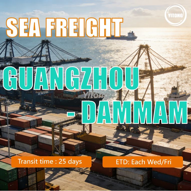 Efficient Sea Freight From Guangzhou China To Dammam Port Saudi Arabia FCL LCL Shipping Solutions