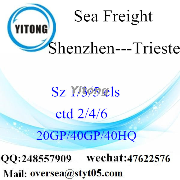 Shenzhen Port Sea Freight Shipping To Trieste Italy