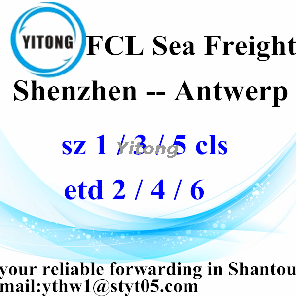 Shenzhen Global Ocean Freight Agent to Antwerp Belgium