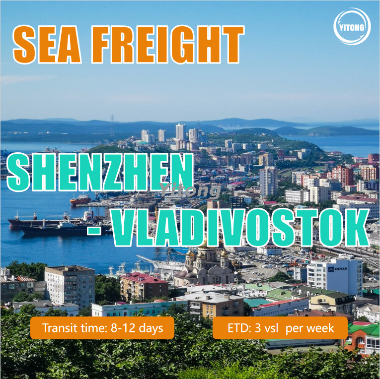 Sea Freight Logistics from Shenzhen to Vladivostok Russia