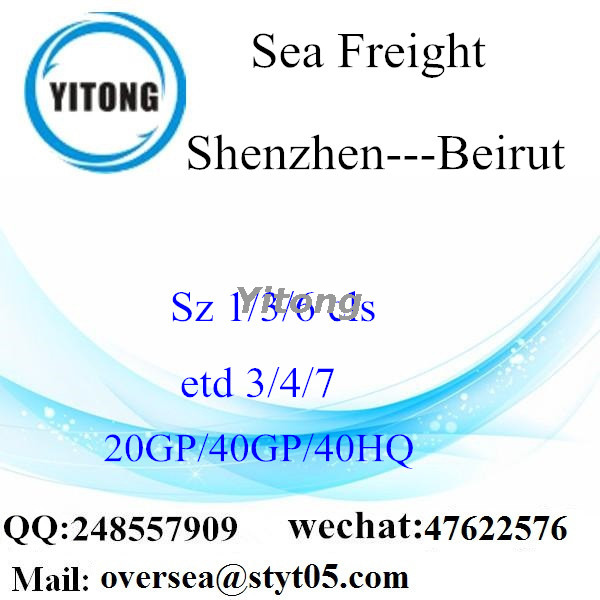Shenzhen Port Sea Freight Shipping To Beirut Lebanon