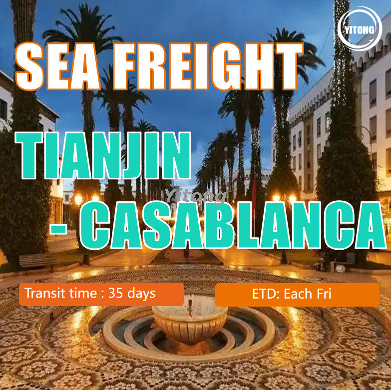 Better Sea Freight to Casablanca Morocco