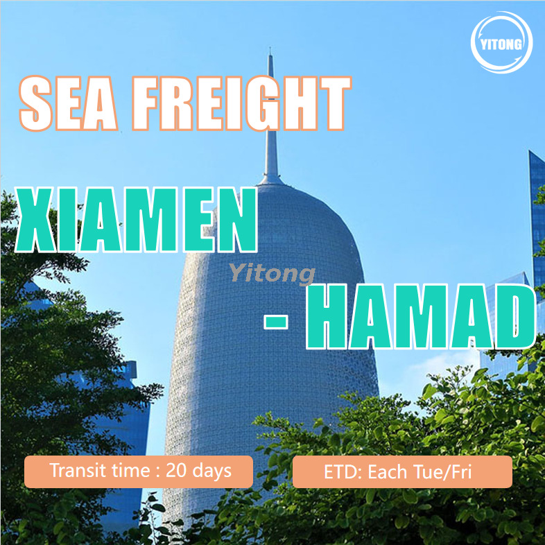 Maritime Shipping From Xiamen To Hamad Qatar