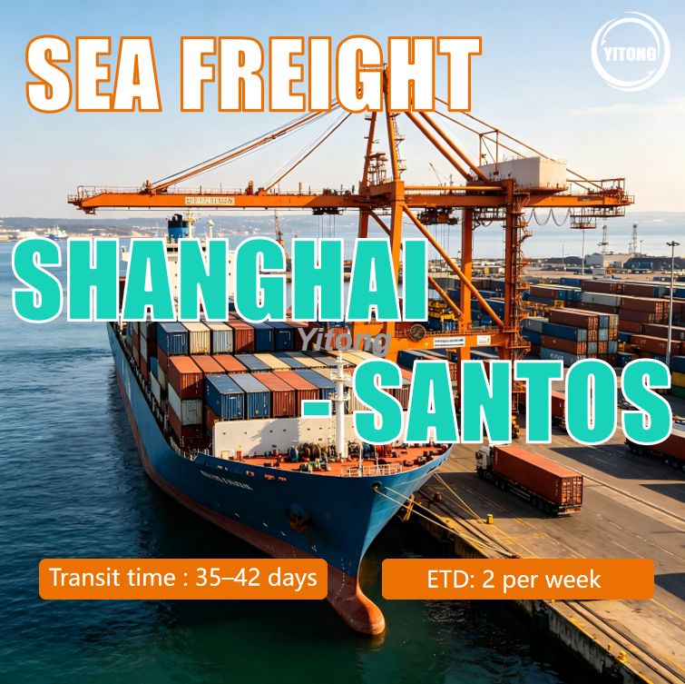 Sea Freight from Shanghai China to Santos Brazil Shipping for South American Trade