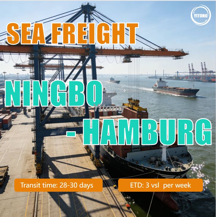 Comprehensive Sea Freight From Ningbo China To Hamburg Germany Efficient Europe Bound Container Shipping