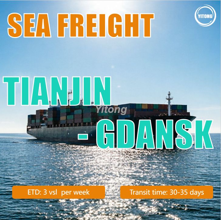 Sea Freight From Tianjin China To Gdansk Poland Efficient Container Shipping To Europe