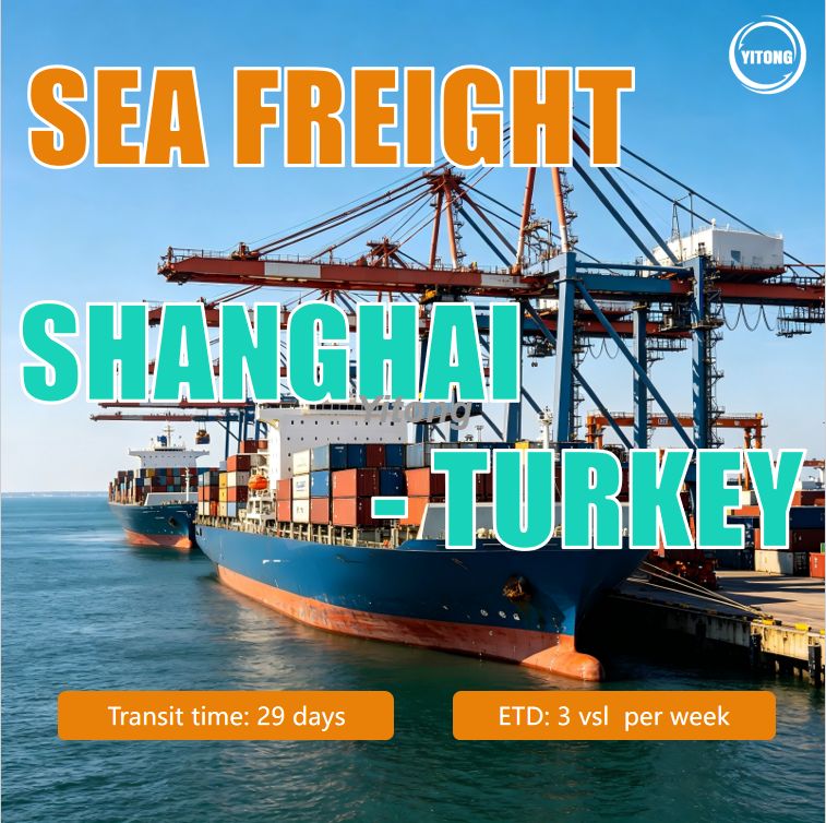 Ocean Shipping Sea Freight From shanghai China To Turkey