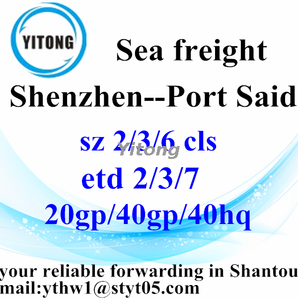 Shenzhen to Port Said International Logistic Services Egypt