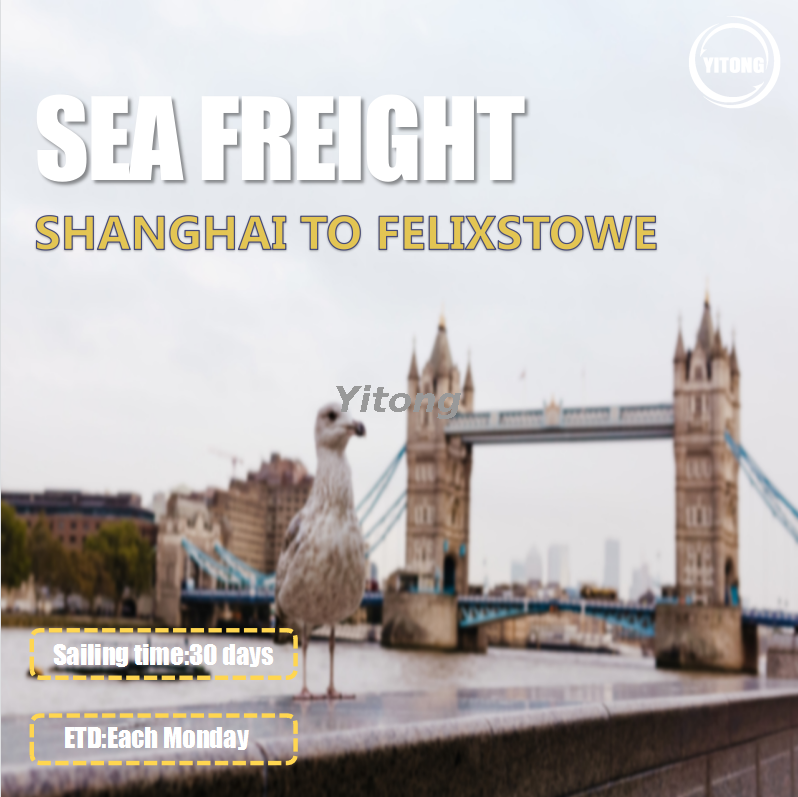Sea Freight Logistics From Shanghai To Felixstowe UK