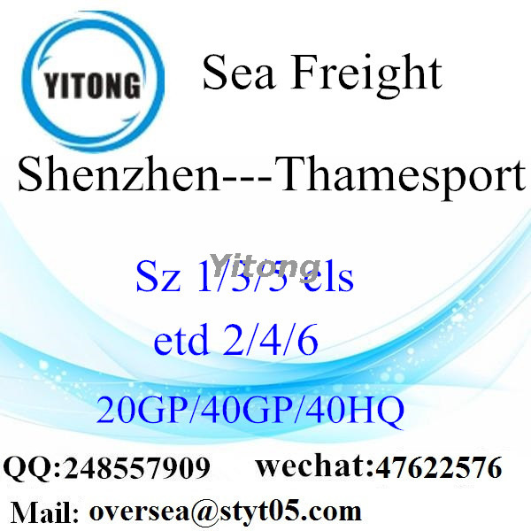 Shenzhen Port Sea Freight Shipping To Thamesport UK