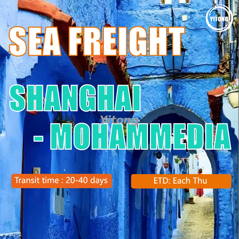 Sea Shipping From Shanghai To Mohammedia Morocco