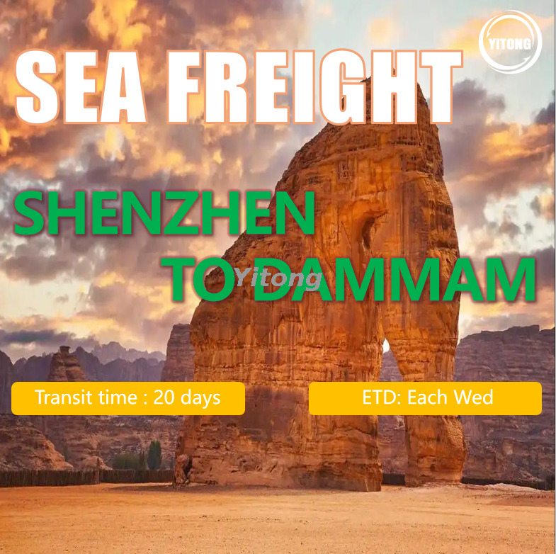 internation Sea Freight From Shenzhen To Dammam Saudi Arabia