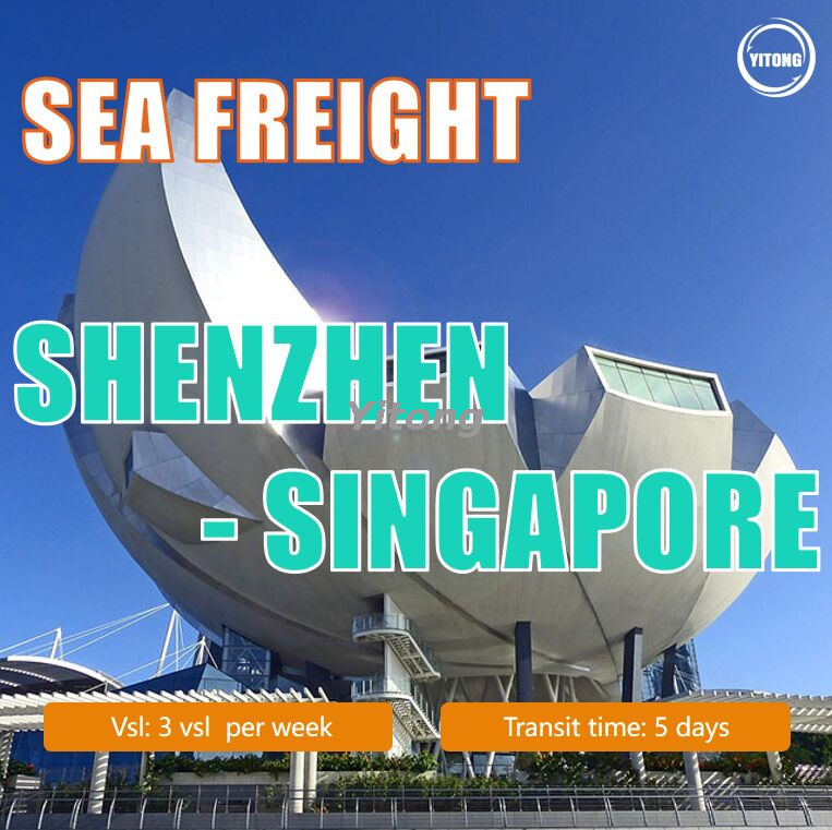 Sea Freight From Shenzhen To Singapore China To Singapore Ocean Freight Service