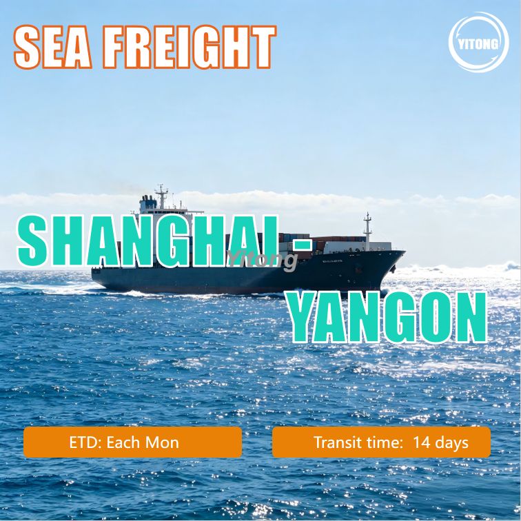 International Sea Freight Shipping From Shanghai To Yangon Myanmar