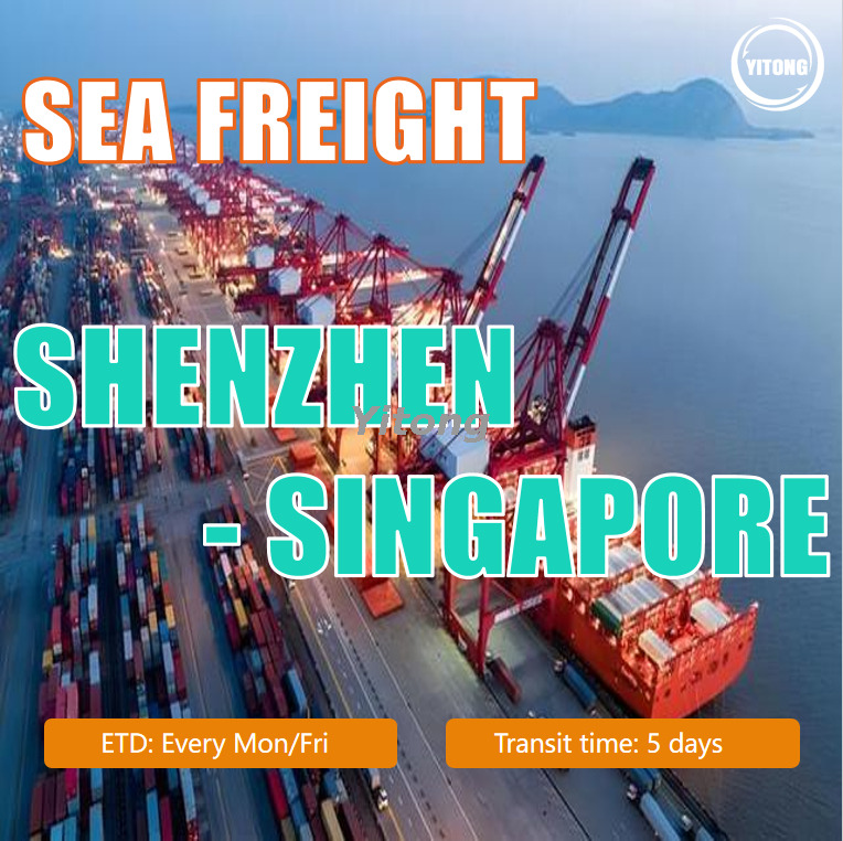 Sea Shipping from Shenzhen to Singapore Port