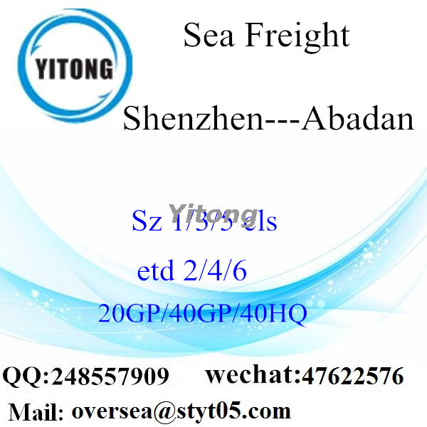 Shenzhen Port Sea Freight Shipping To Abadan Iran