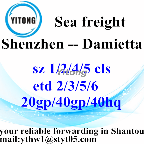 Shenzhen International Freight Forwarder Shipping to Damietta Egypt
