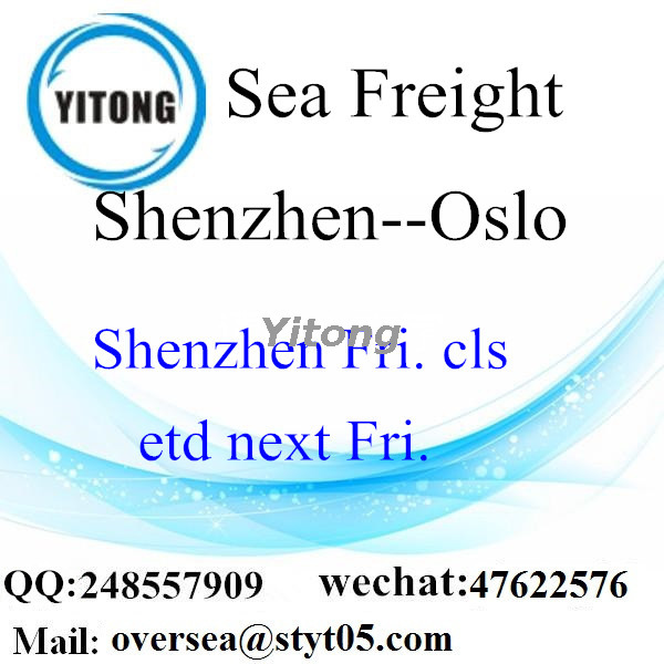 Shenzhen Port Sea Freight Shipping To Oslo Norway