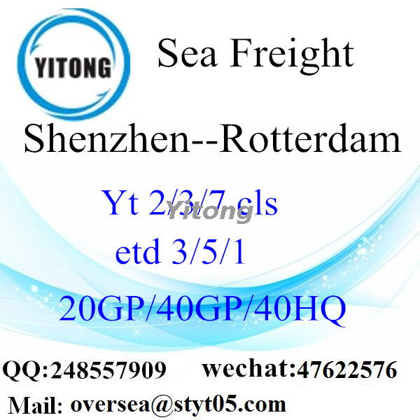 Shenzhen Port Sea Freight Shipping To Rotterdam Holland